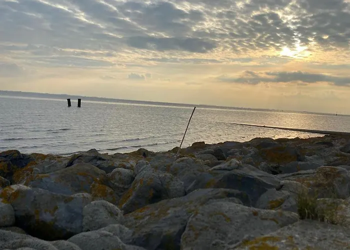 Petkumer Deichkoje *